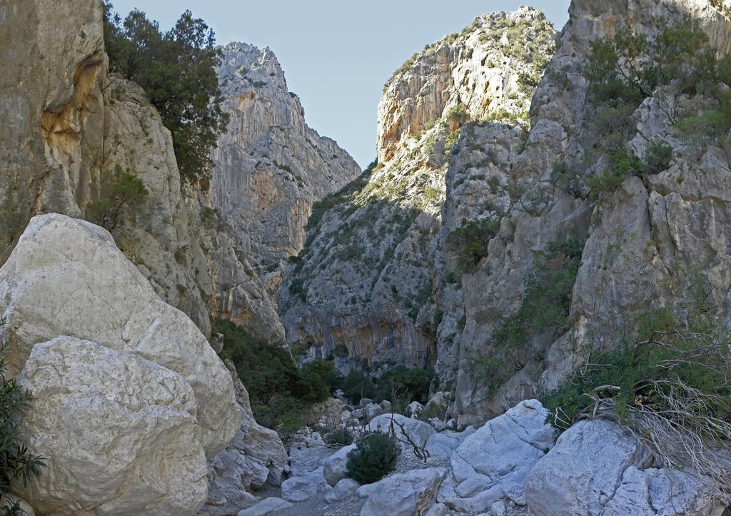 Appartamento Gli Ontani Cala Liberotto Cameră foto